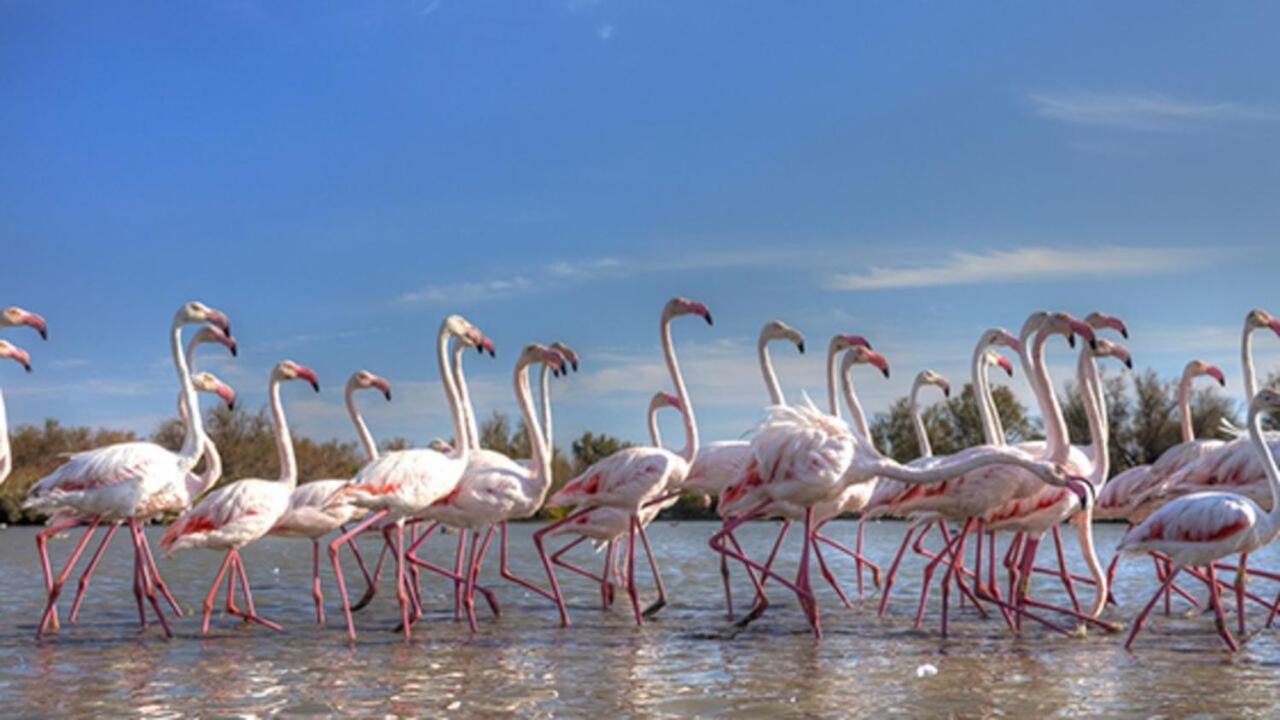 Marina Aigues-Mortes **** ภายนอก รูปภาพ